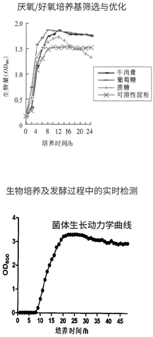 過程安全，結(jié)果精準(zhǔn)
